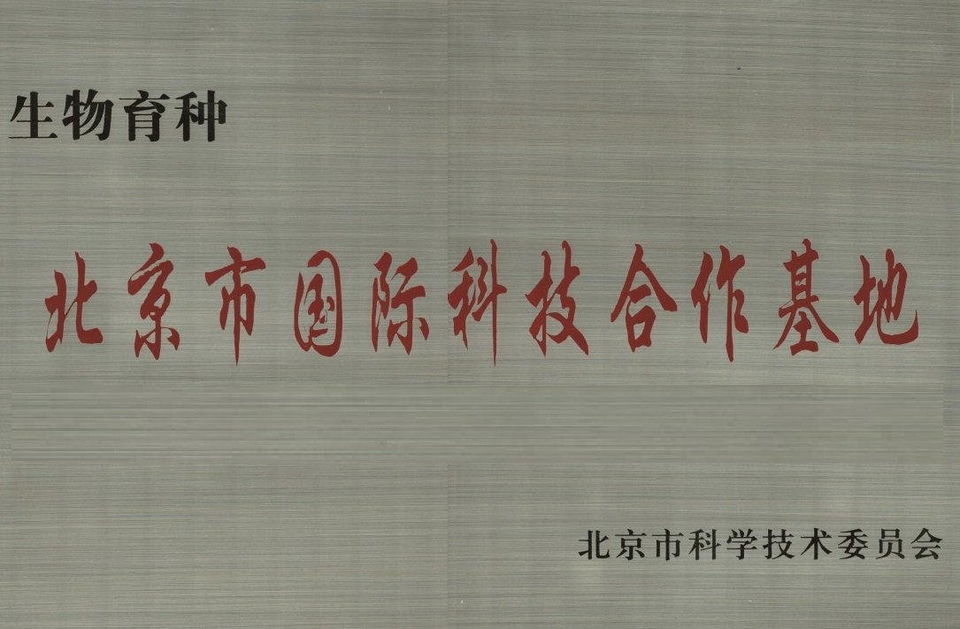星空官方端网站登录入口