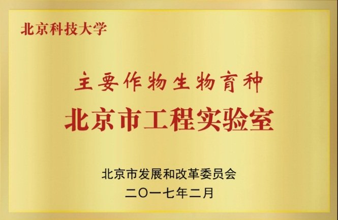 星空官方端网站登录入口新人权益